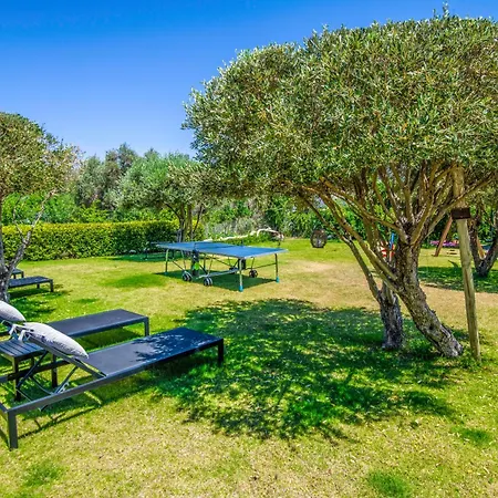 Made Of Blue Luxury Collection